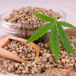 Commercio Online Semi di Cannabis