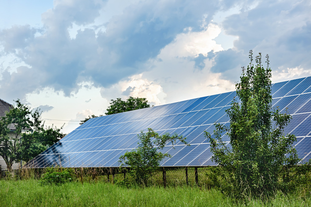 Solare agrivoltaico PV da 28,80 MW in Italia