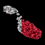 Affermata società Shelf maltese